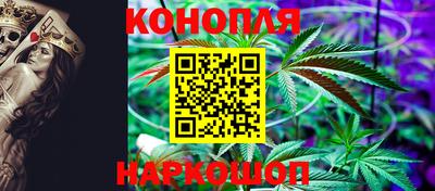 спиды Славгород