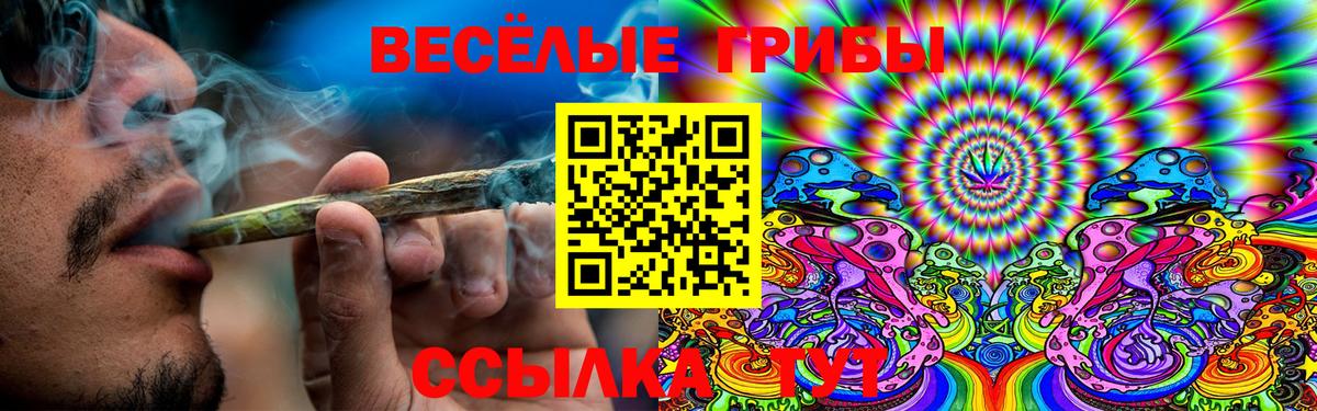 Псилоцибиновые грибы MAGIC MUSHROOMS  Вход с VPN  Бийск  Псилоцибиновые грибы прущие грибы 